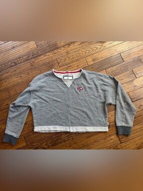 Colosseum Wisconsin Badgers Grey academia Sweatshirt M NWOT